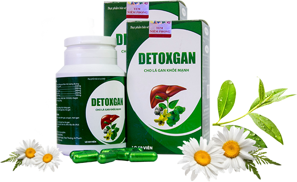 DETOXGAN – Phương pháp hỗ trợ điều trị VIÊM GAN hàng đầu Việt Nam