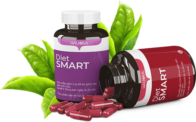 DIET SMART – Giải pháp GIẢM CÂN AN TOÀN trong 14 ngày