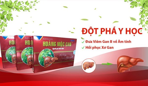 [Review] HOÀNG MỘC CAN có tốt không? Mua bán ở đâu? Giá bao nhiêu 2020?
